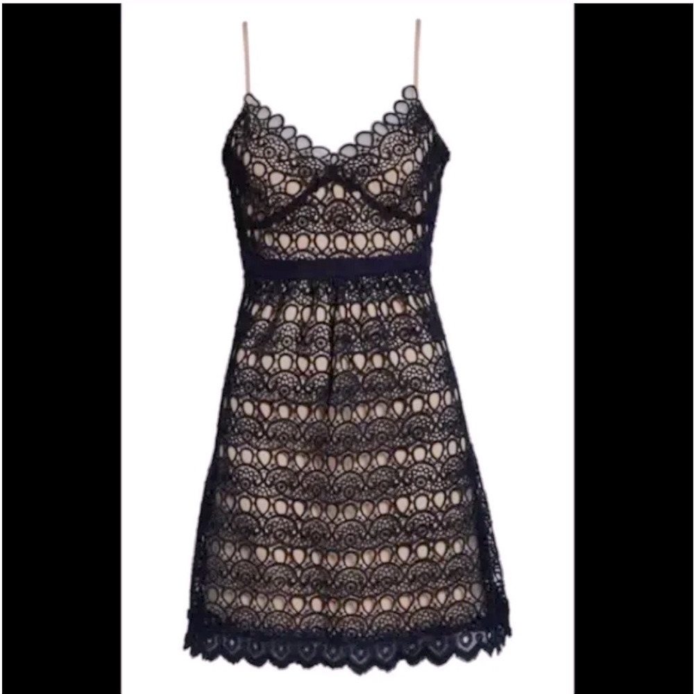 Foxiedox Navy Lace Dress